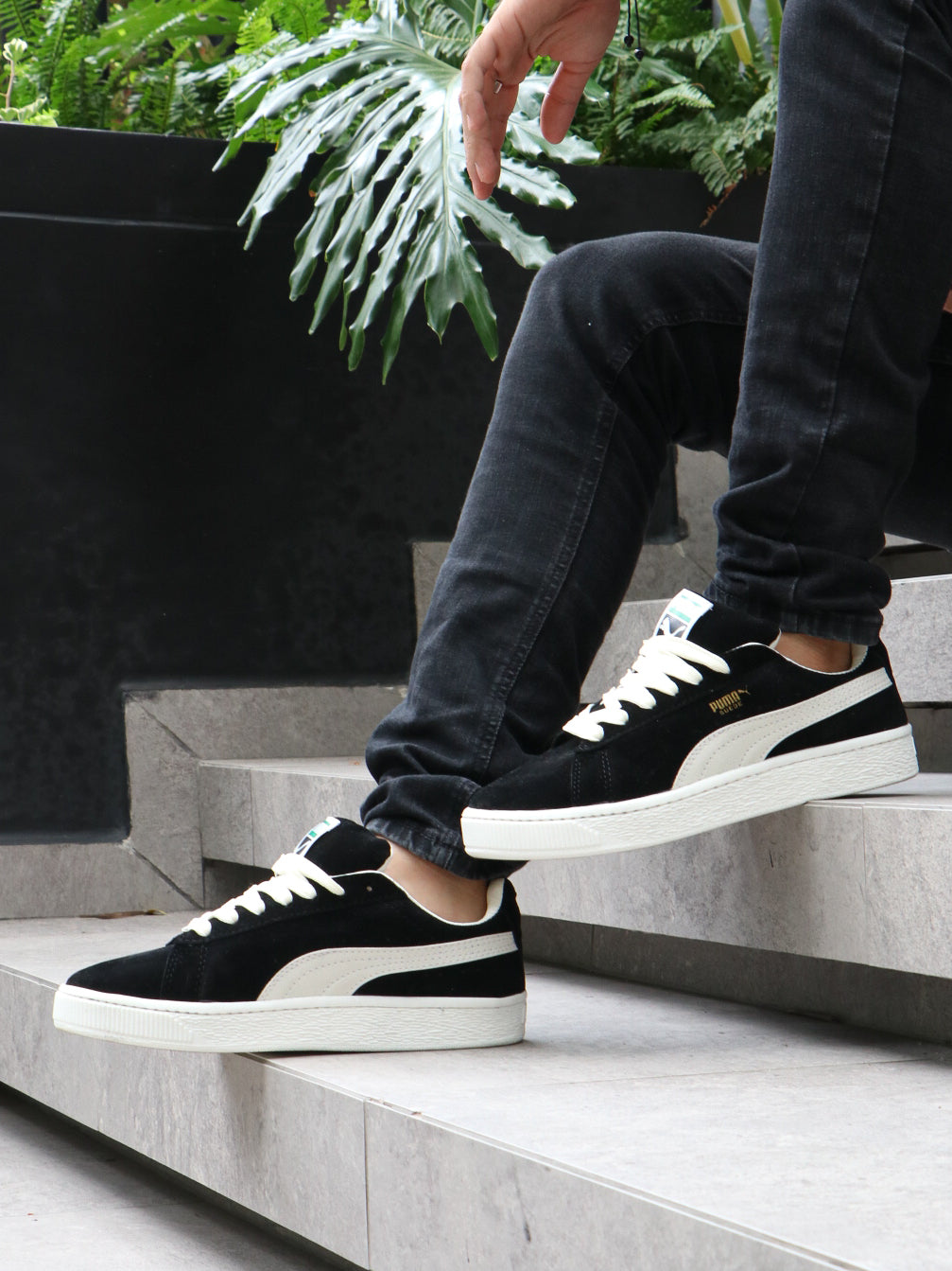 Puma Suede Legacy